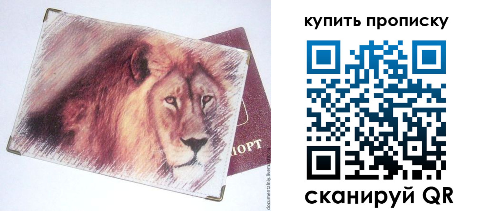 прописка паспорт в Чегеме